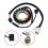 Stator Coil for Yamaha Raptor 350 YFM350 2004 2005 2006 2007 2008 2009 2010 